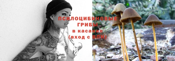 кокс Каменка